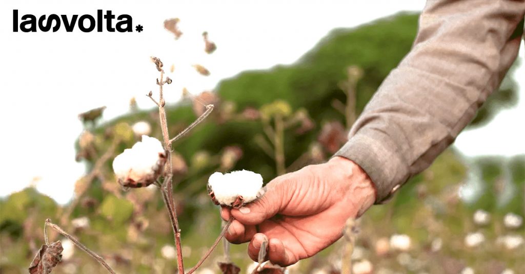 Moda sostenibile: arriva il cotone a basso consumo d’acqua