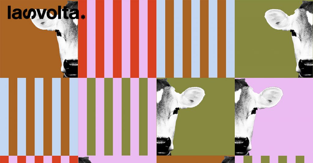 Trasporto di animali vivi: è tempo di dire basta