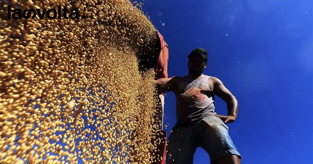Diritti umani e deforestazione: cosa rischia Cargill?