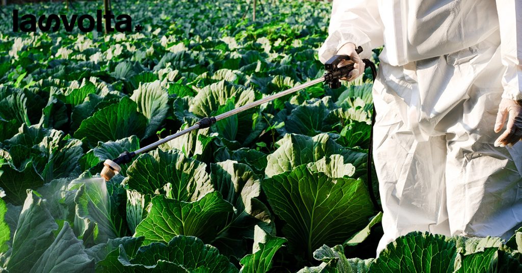 Paesi Bassi: 1,5 miliardi per chiudere le imprese agricole inquinanti
