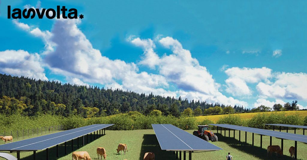L’agrivoltaico supera il solare classico (ma solo sulla carta)