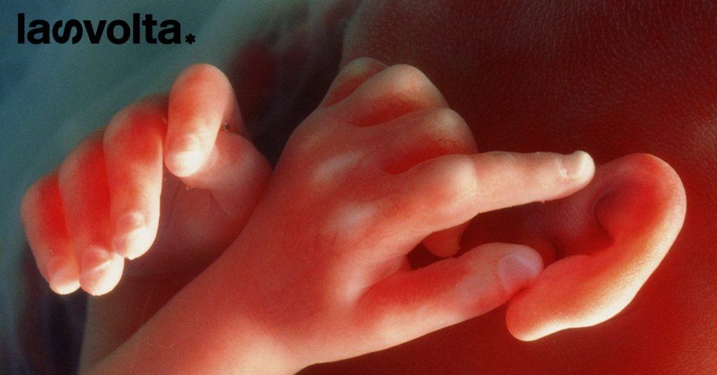 Dna: è nato il primo bambino inglese da tre genitori