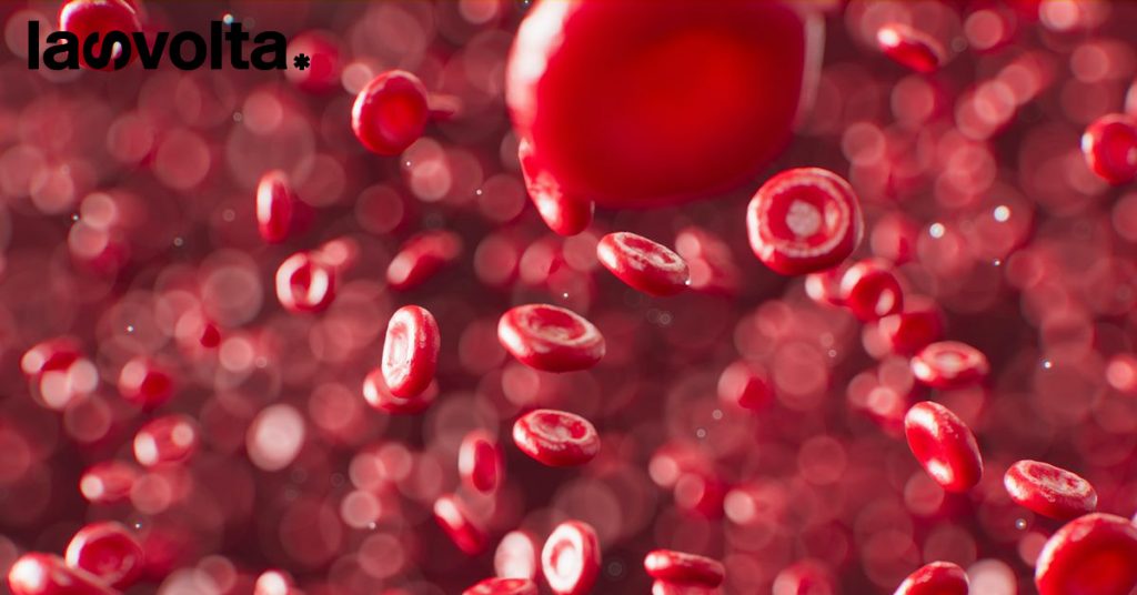 Usa: no discriminazioni ai donatori di sangue per l’orientamento sessuale