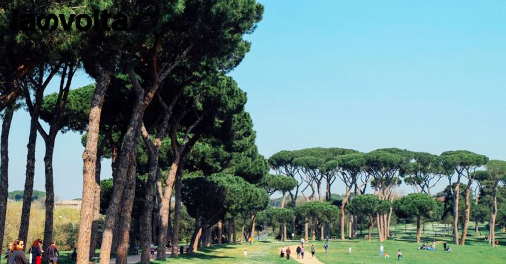 Roma pianta 3.000 alberi per rinfrescarti
