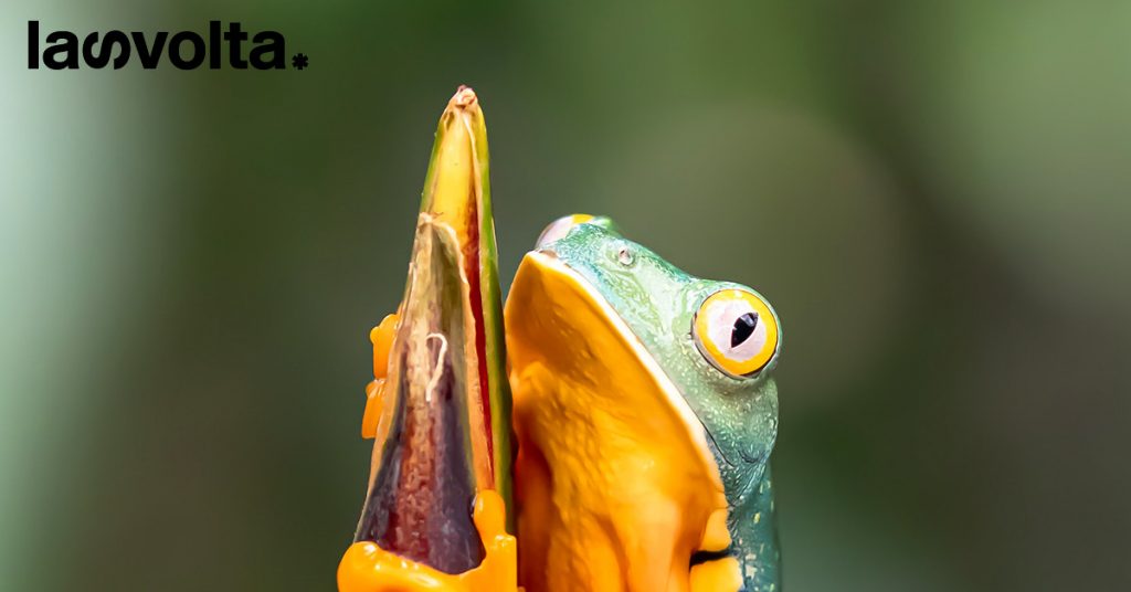 Palermo: nasce il National Biodiversity Future Center
