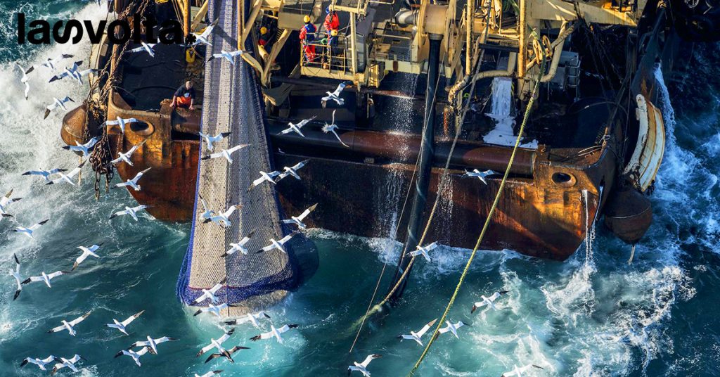 Esiste una pesca sostenibile?