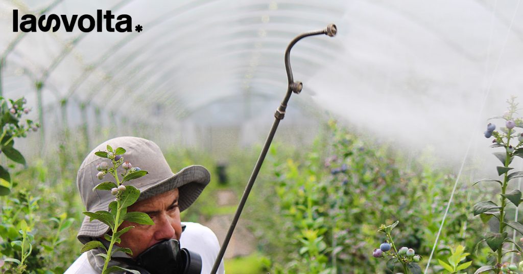 Il pesticida che non va bene per noi si compra per l’Africa