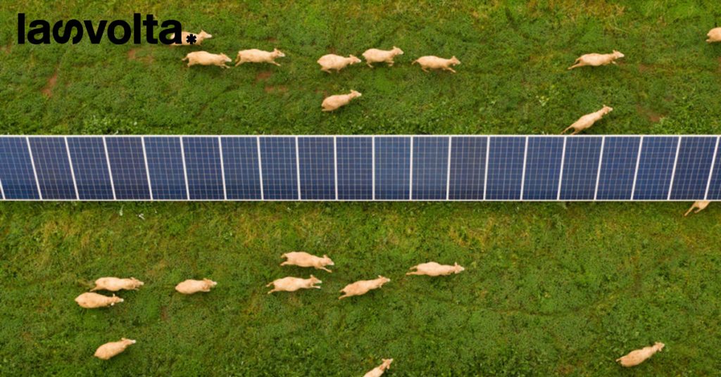 “Basta con i no a priori contro le rinnovabili”: il Tar del Lazio accoglie ricorso sull’agrovoltaico