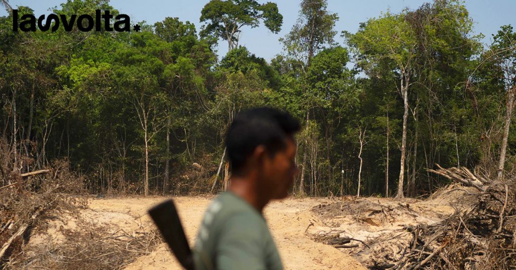 Ogni minuto scompaiono 11 campi da calcio di foreste pluviali tropicali