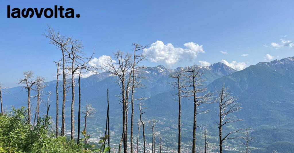 Il polmone verde della Val Susa torna a respirare