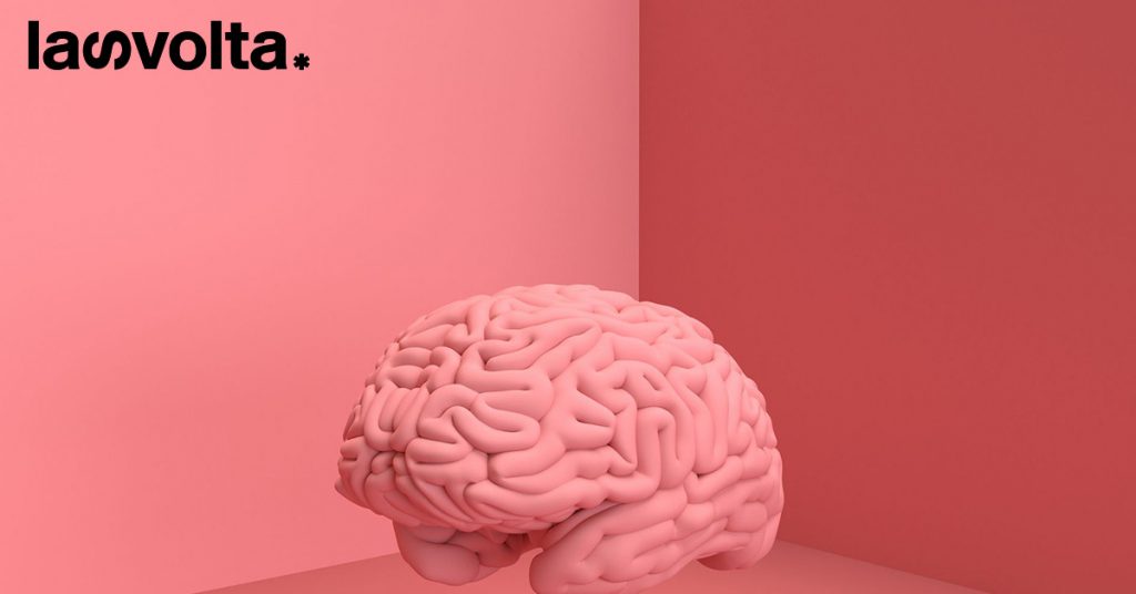 Una stampante 3D ha riprodotto la copia di un cervello umano