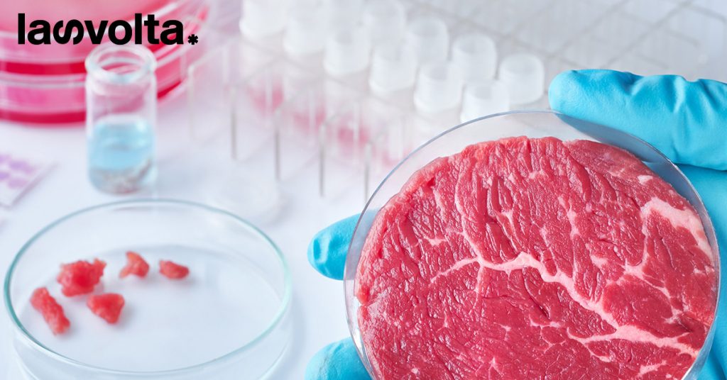 L’Italia non può fermare la carne coltivata