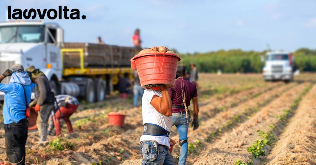 Save The Children, lavoro: il 27% dei minori stranieri sfruttato
