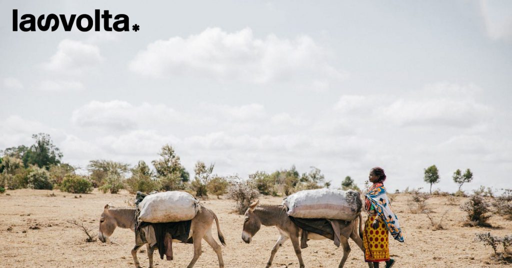 Kenya: la dura vita degli asini