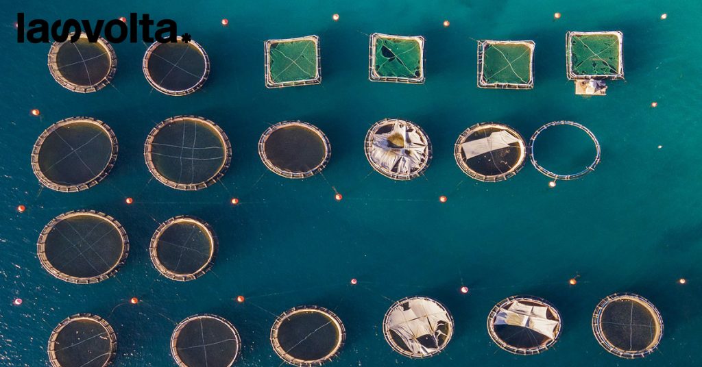 Blue economy: l’Italia terza in Europa