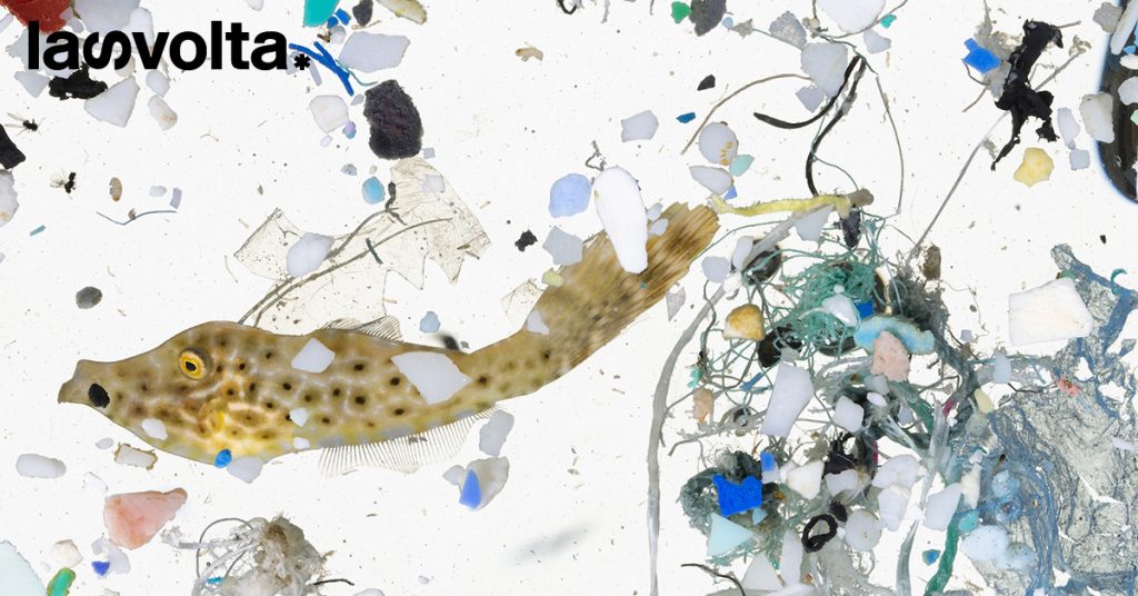 I laghi italiani sono invasi dalle microplastiche