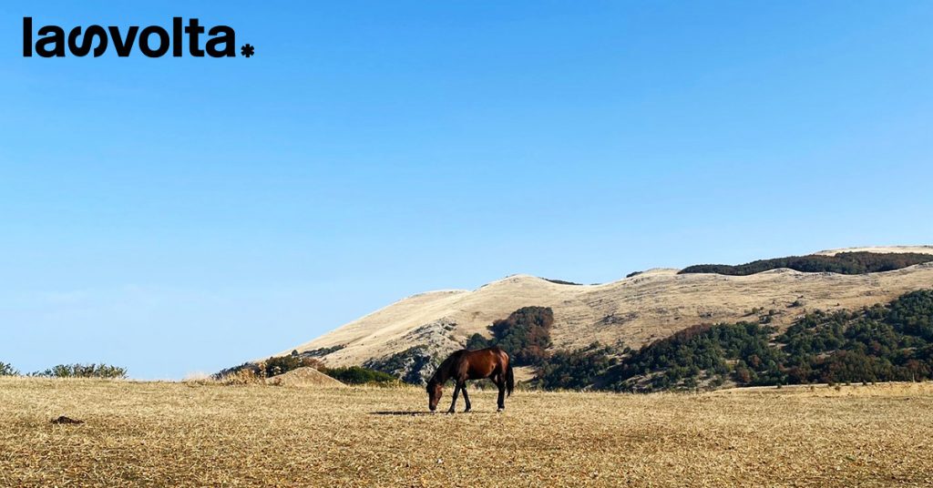 Alla scoperta del Pollino, tra escursioni e prodotti DOP