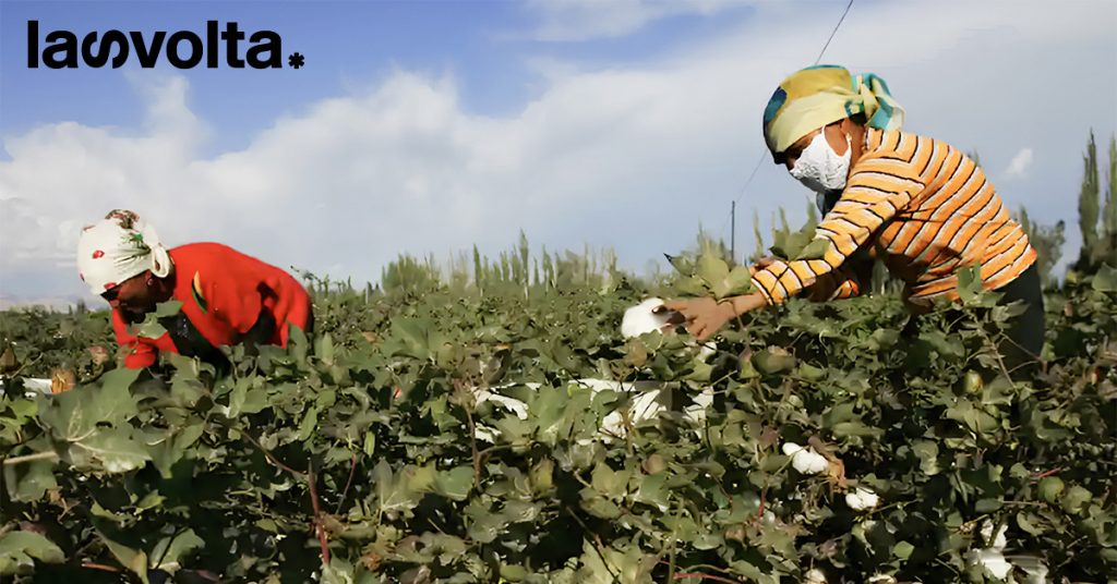 Alcune aziende avrebbero acquistato carbon credits legati allo sfruttamento uiguro