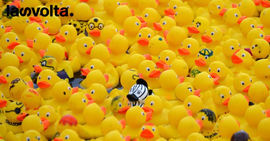 Il Google dei cospirazionisti si chiama DuckDuckGo