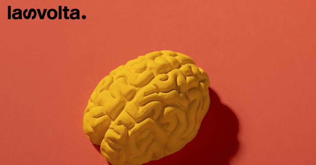 Arriva Brainoware, il mini cervello che risolve complesse operazioni e riconosce la tua voce