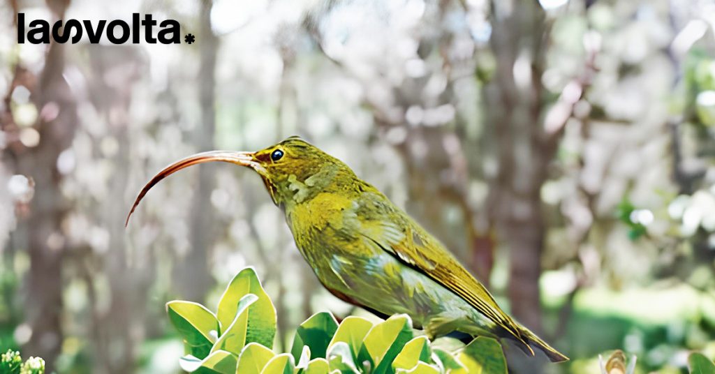 3 specie scoperte (e 3 estinte) nel 2023