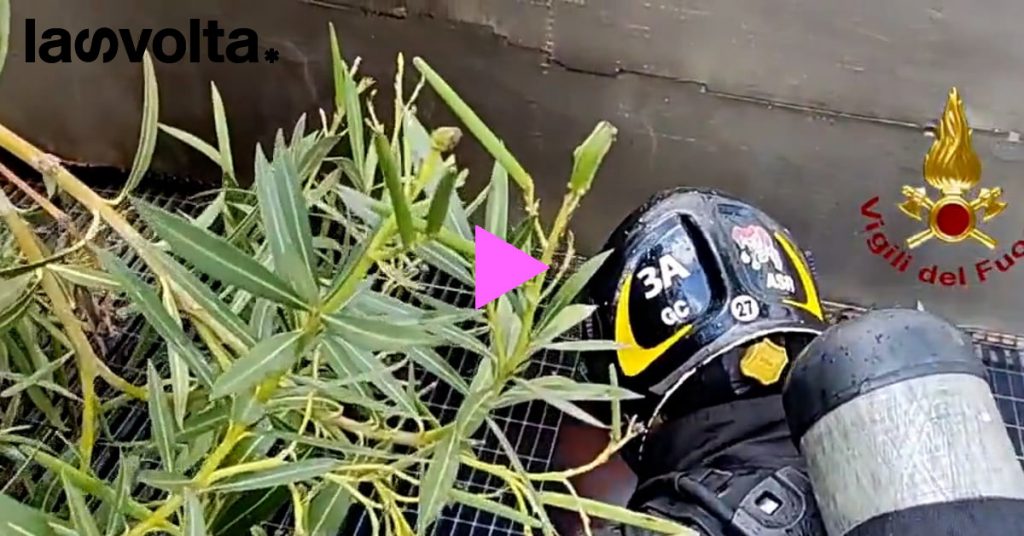 Roma, incendio Mezzocammino: cos’è successo?