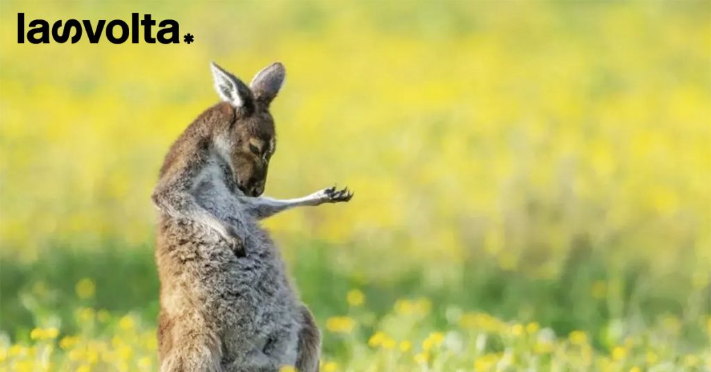 8 gennaio 2024. Buongiorno con gli animali