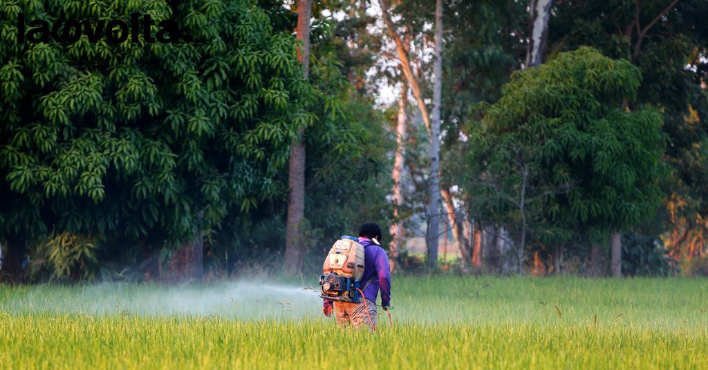 Pesticidi, emissioni e politiche agricole: in Europa è “ritorno al passato” in vista del voto