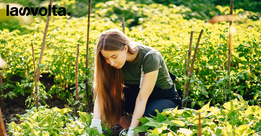 Agricoltura: che cosa chiede l’imprenditoria femminile