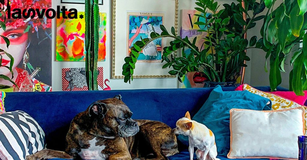 Pet food: perché spendiamo così tanto per il cibo “human grade”?
