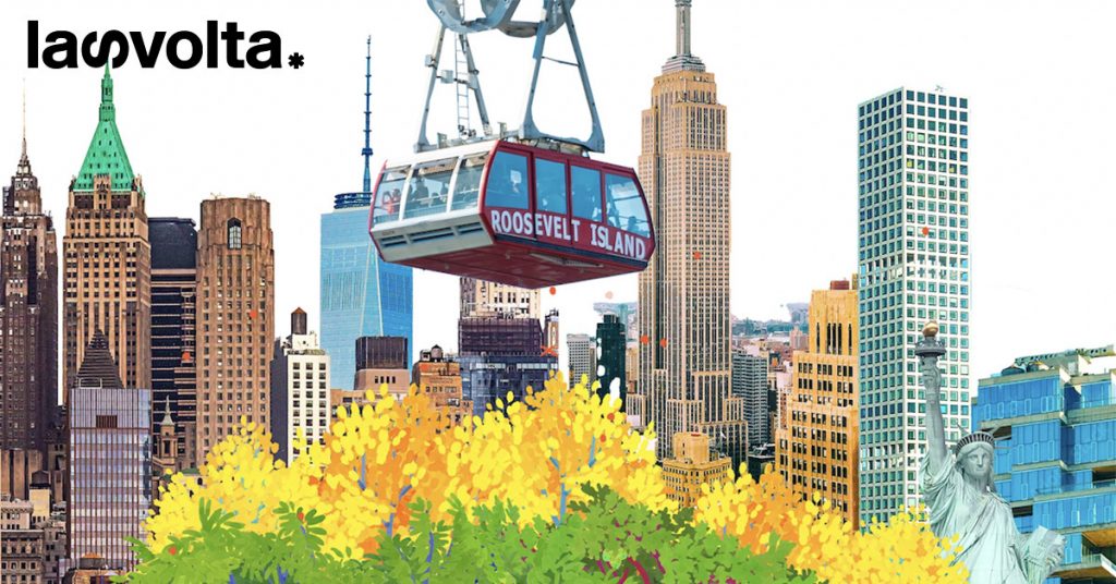 New York: arriva la “foresta tascabile” con circa 1.000 piante
