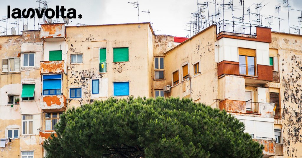 Basta abbattere e ripiantare, gli alberi vanno curati