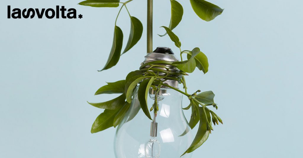Bioarchitettura dagli scarti vegetali e… piccole grandi idee per il Pianeta