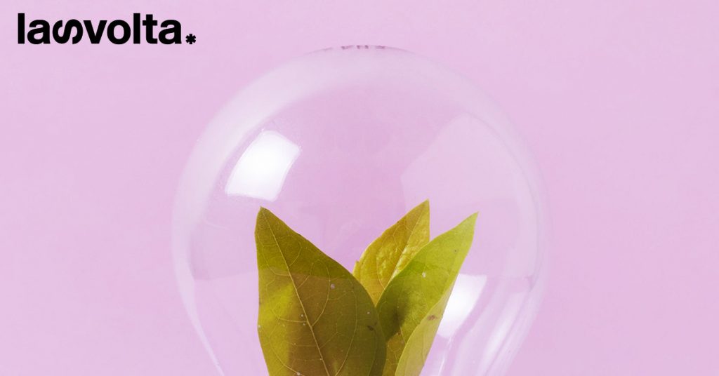 Filtro naturale per l’acqua piovana e… piccole grandi idee per il Pianeta