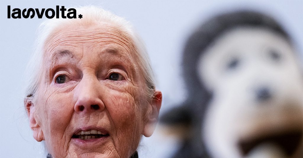 Jane Goodall incontra studenti e studentesse a Roma: «Fate la differenza e sorridete ogni giorno»