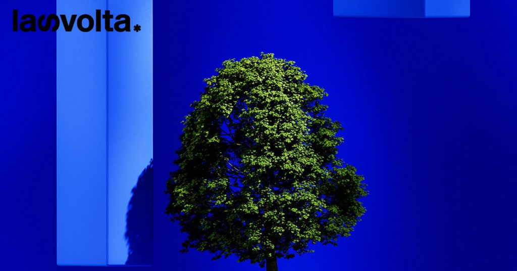 Usa: l’AI di Google verrà utilizzata per reagire ai disastri ambientali
