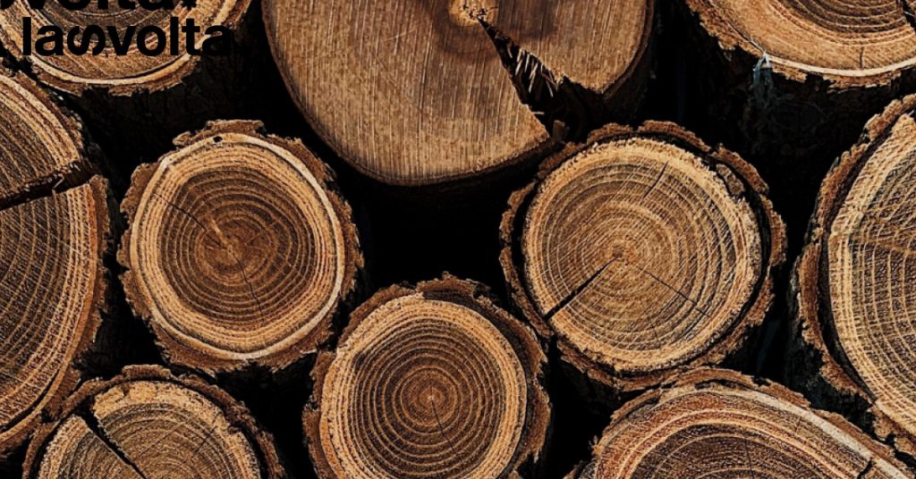 Gli anelli degli alberi raccontano il cambiamento climatico