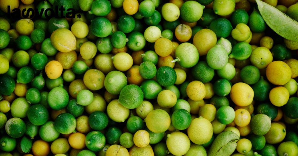 Cos’è la bioeconomia circolare tra Italia e Francia
