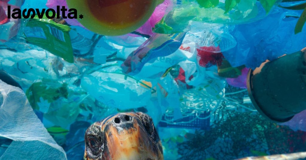 8 giugno 2022. Grande Baia Australiana, El Rocío, Ermera