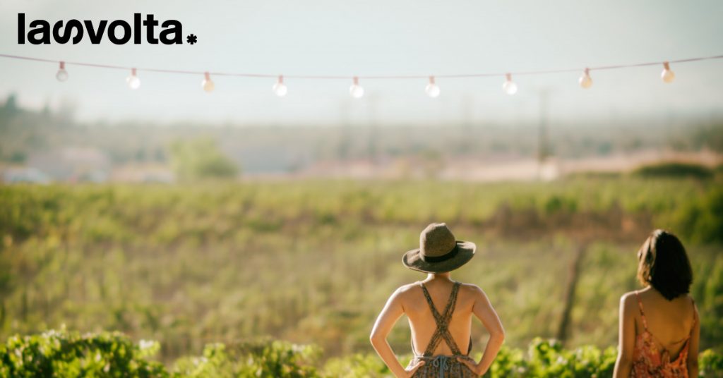 I vigneti, una casa per la biodiversità