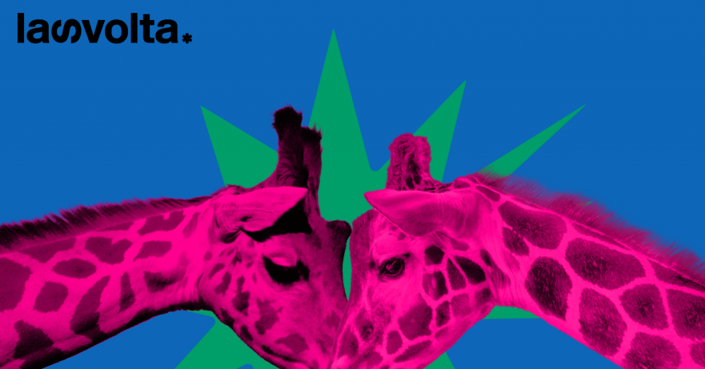 Alla scoperta delle giraffe (e delle loro peculiarità)