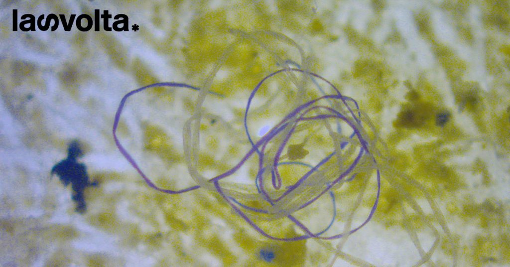 I laghi di microplastiche