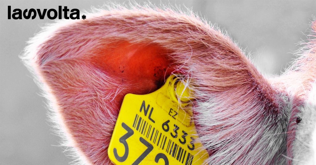 Fermare le #BugieInEtichetta è una scelta doverosa