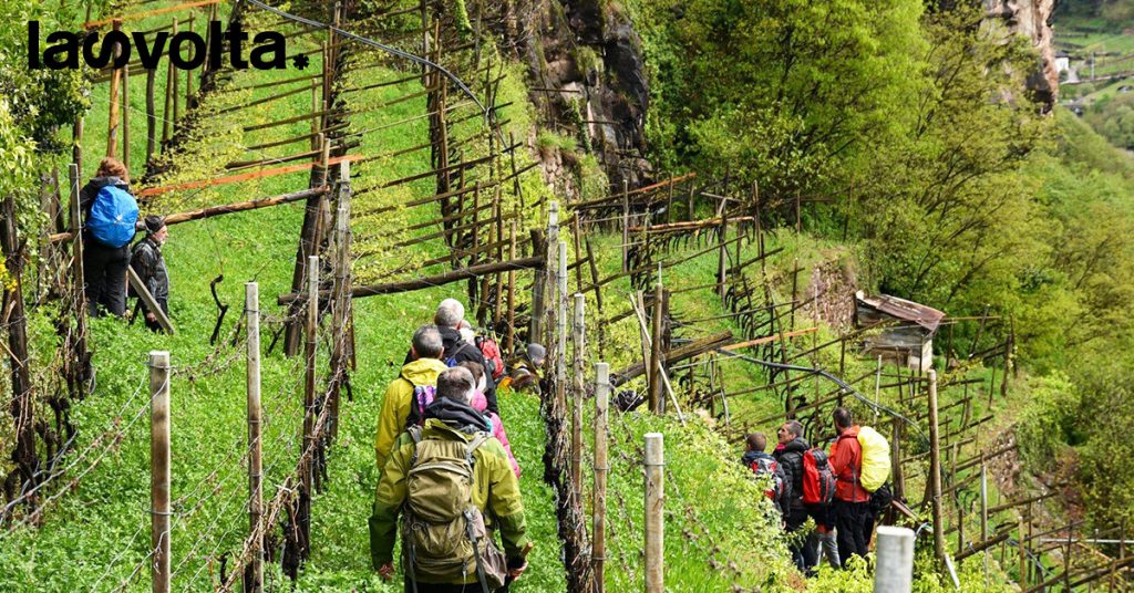 Voglia di vacanze? Ecco 10 viaggi sostenibili da fare a piedi