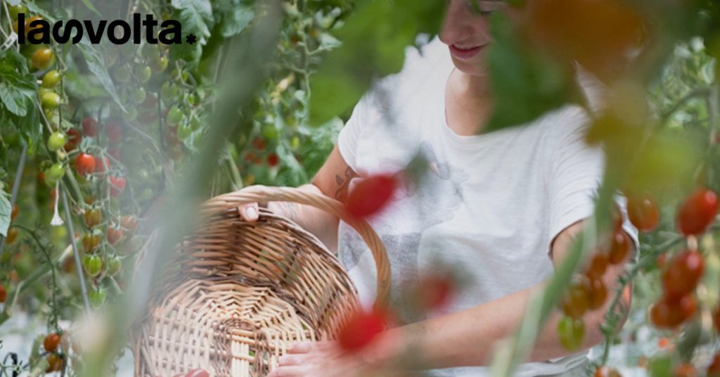 4 startup per un’agricoltura sostenibile