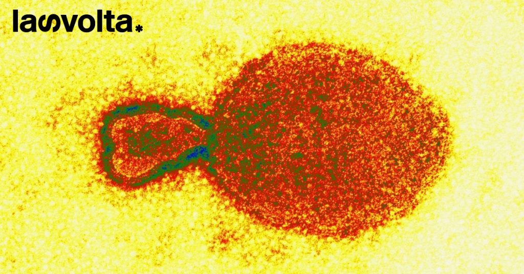 Cosa si sa del virus Langya