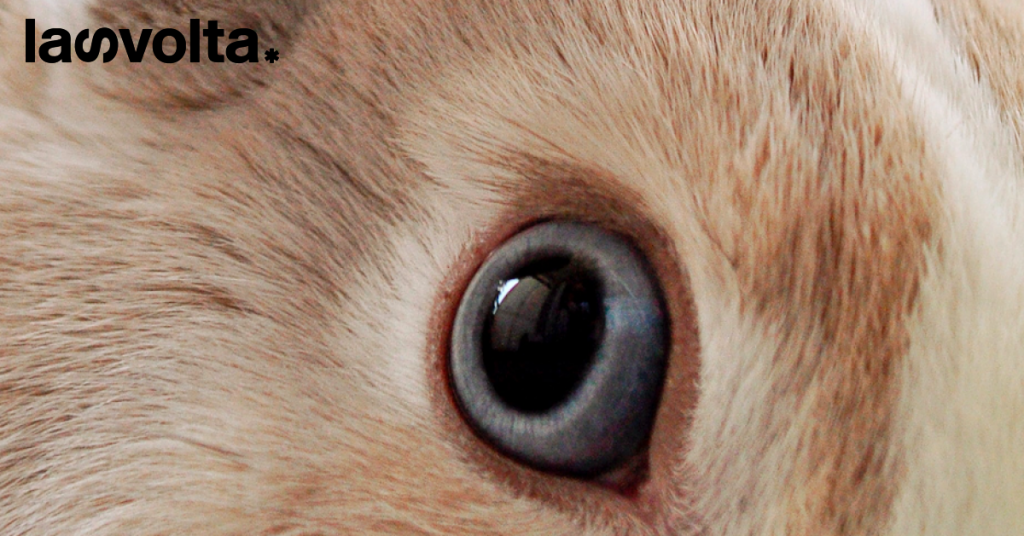 Curare gli umani senza uccidere gli animali