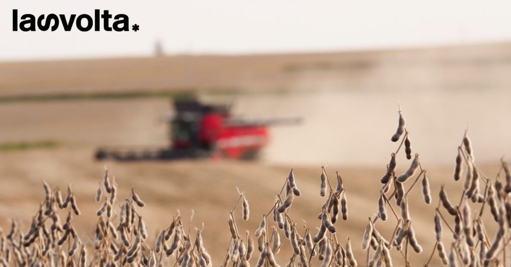 Usa: agricoltori costretti a distruggere i raccolti