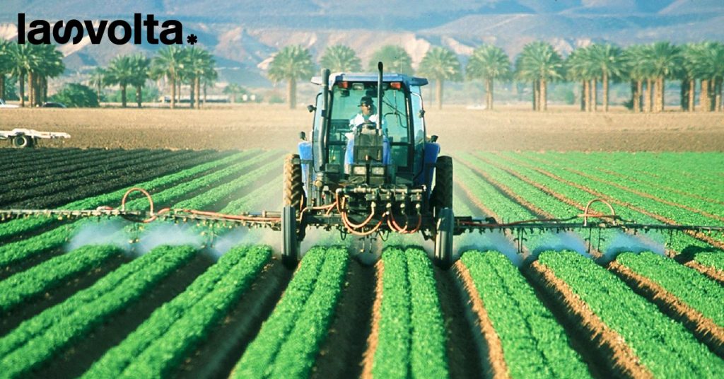 Brasile: le nuove (insostenibili) varietà di grano