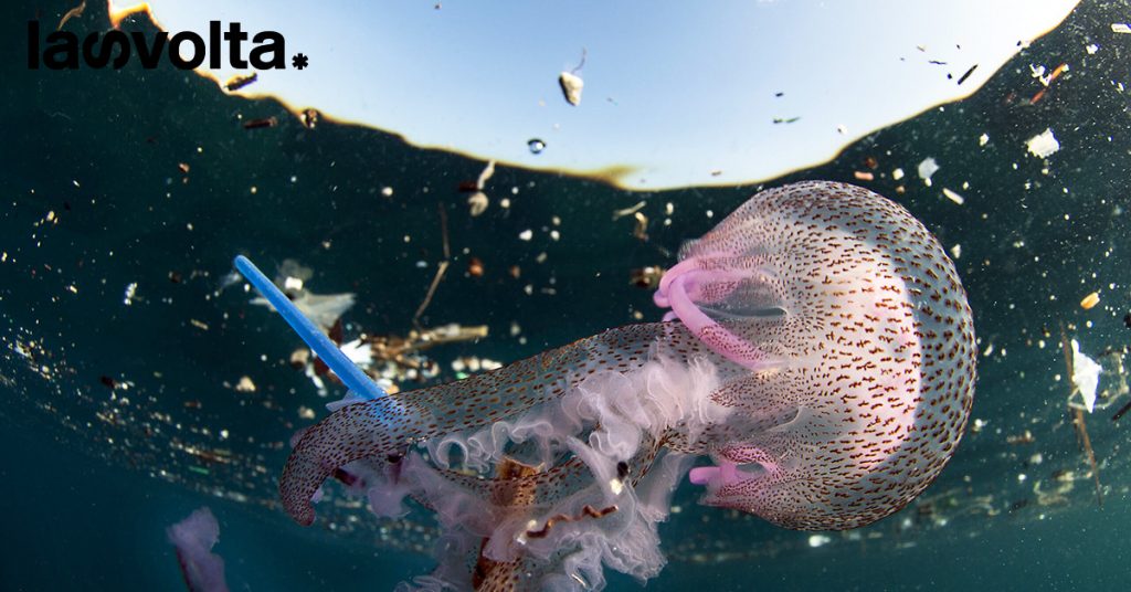 Il grande rifiuto: Usa, Russia e Canada VS fauna marina